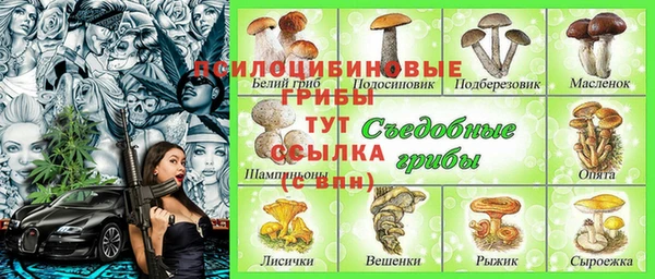 эйфоретик Красноперекопск