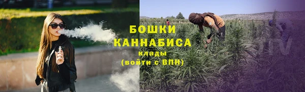 индика Краснотурьинск