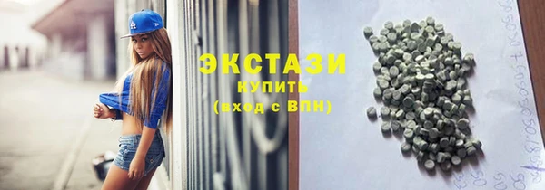 индика Краснотурьинск
