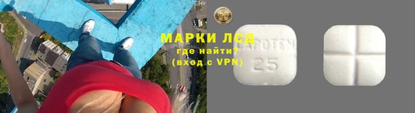 индика Краснотурьинск