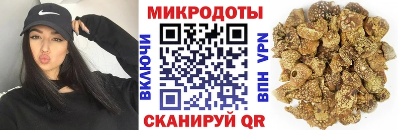 Купить где  Горбатов  Псилоцибиновые грибы мицелий 