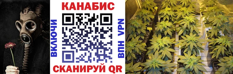 Каннабис Amnesia  Купить  Горбатов 